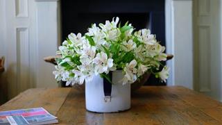 Tử vi thứ 7 ngày 15/8/2020 của 12 con giáp: Thìn đào hoa, Thân sai sót