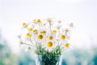 Tử vi Thứ 4 ngày 23/9/2020 của 12 con giáp: Ngọ may mắn, Thân bất lợi