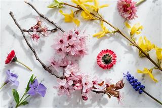 Tử vi thứ 3 ngày 29/9/2020 của 12 con giáp: Sửu có lộc, Tý tránh xung đột