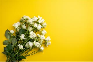 Tử vi thứ 7 ngày 26/9/2020 của 12 con giáp: Mão trúc trắc, Tuất lao đao