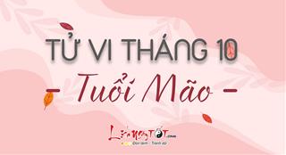 Tử vi tháng 10/2020 tuổi Mão âm lịch: Gặt hái kết quả xứng đáng