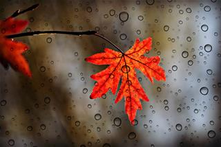 Dự báo thời tiết 10 ngày tới (24/9 – 4/10/2020): Cả nước tiếp tục có mưa dông