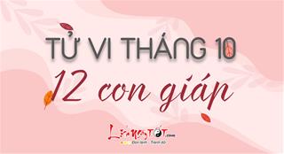 Tử vi tháng 10/2020 của 12 con giáp (Âm lịch): Ai bứt phá, ai thụt lùi?
