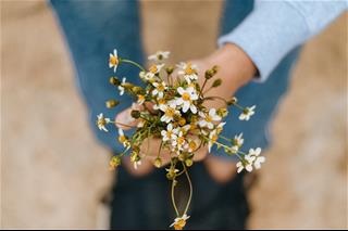 Tử vi hàng ngày 5/10/2020 của 12 cung hoàng đạo: Kim Ngưu gặp may, Cự Giải hoài niệm