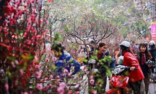 Trung tâm Dự báo KTTV Quốc gia lên tiếng về thông tin Tết Nguyên đán sẽ rét đậm, nhiệt độ trung bình 13 - 17 độ C