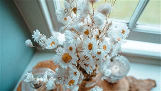 Tử vi thứ 2 ngày 15/2/2021 của 12 cung hoàng đạo: Cự Giải tò mò, Nhân Mã căng thẳng