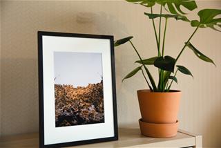 Tử vi thứ 7 ngày 6/2/2021 của 12 con giáp: Dần hao tài, Dậu bấp bênh