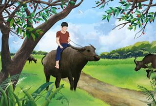 Năm Sửu bàn về con trâu: Không biết những điều này quả là thiếu sót quá lớn