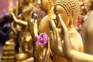 Lời Phật dạy về Ngũ dục: Hết sức thận trọng, không cần ép buộc lìa bỏ thái quá