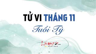 Tử vi tháng 11/2021 tuổi Tý âm lịch: Vận trình ảm đạm, cần cố gắng nhiều