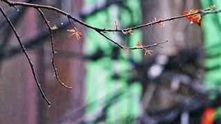 Dự báo thời tiết ngày 26/10/2021: Trung Bộ mưa tiếp diễn, Bắc Bộ ngày nắng