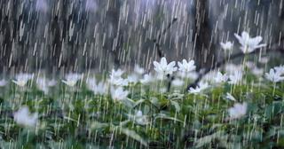 Dự báo thời tiết ngày 27/10/2021: TPHCM mưa dông, Hà Nội ngày nắng