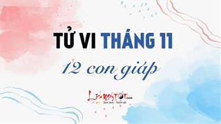 Tử vi tháng 11/2021 của 12 con giáp âm lịch: Chi tiết biến động vận trình