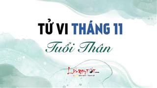 Tử vi tháng 11/2021 tuổi Thân âm lịch: Cơ hội ngập tràn, nhanh tay nắm bắt