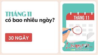 Tháng 11 có bao nhiêu ngày? Biết tuốt mọi bí mật về tháng của hy vọng
