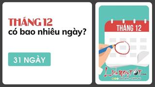 Tháng 12 có bao nhiêu ngày? Cùng xem chúng ta có gì từ tháng cuối năm