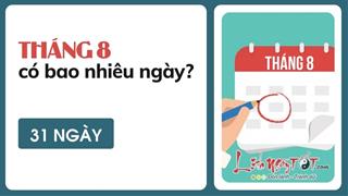 Tháng 8 có bao nhiêu ngày? Nắm bắt tường tận về tháng 8 qua các năm