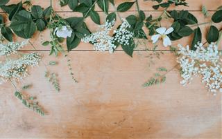 Tử vi Thứ 2 ngày 11/10/2021 của 12 con giáp: Tý thành công, Sửu thất vọng