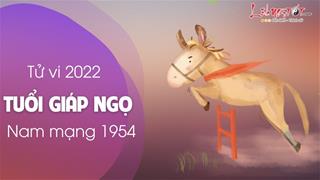 Tử vi tuổi Giáp Ngọ năm 2022 nam mạng 1954: Đề phòng bị lừa gạt