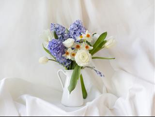 Tử vi thứ 4 ngày 17/11/2021 của 12 cung hoàng đạo: Xử Nữ tự do, Song Tử mê tín