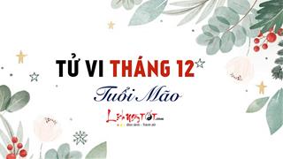 Tử vi tháng 12/2021 tuổi Mão âm lịch: Áp lực đè nặng, nhiều điểm bất cập