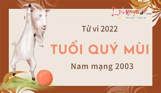 Tử vi tuổi Quý Mùi năm 2022 nam mạng 2003: Hoàn thành tốt mục tiêu đề ra