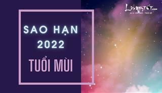 Xem sao hạn 2022 tuổi Mùi: Chi tiết các tuổi Kỷ Mùi, Tân Mùi, Đinh Mùi, Quý Mùi, Ất Mùi