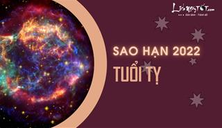 Xem sao hạn 2022 tuổi Tỵ: Chi tiết các tuổi Đinh Tỵ, Tân Tỵ, Quý Tỵ, Kỷ Tỵ, Ất Tỵ