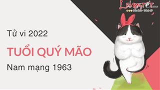 Tử vi tuổi Quý Mão năm 2022 nam mạng 1963: Một năm bình ổn nhiều bề