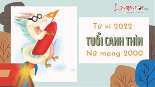 Tử vi tuổi Canh Thìn năm 2022 nữ mạng sinh năm 2000: Gặt hái thành công dựa vào sức mình