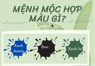 Infographic: Màu sắc hợp mệnh Mộc, dùng đúng để kích hoạt vận may!