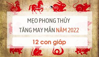 Mẹo phong thủy tăng may giảm xui hiệu quả cho 12 con giáp trong năm Nhâm Dần 2022