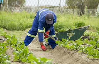 Tử vi hôm nay 29/12/2021 về sự nghiệp của 12 con giáp: Tý lắm lộc, Thìn bảo thủ.