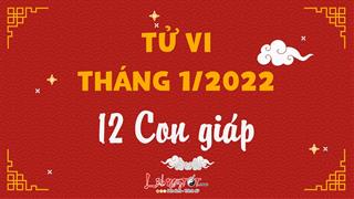Tử vi tháng 1/2022 của 12 con giáp âm lịch: Tháng đầu năm mới Nhâm Dần điều gì chờ đón?