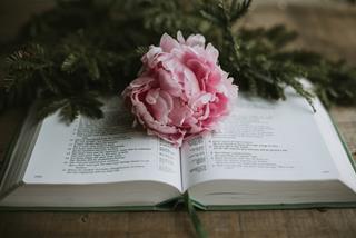 Tử vi thứ 2 ngày 27/12/2021 của 12 cung hoàng đạo: Xử Nữ cọc cằn, Kim Ngưu nhanh nhạy