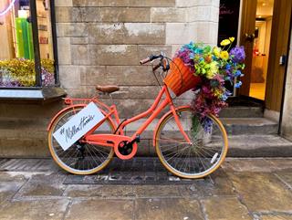 Tử vi Chủ nhật ngày 2/1/2022 của 12 con giáp: Ngọ lộc lá, Dậu có tiểu nhân