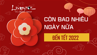 Còn bao nhiêu ngày nữa đến Tết ta - Đếm ngược đến Tết Nguyên Đán!