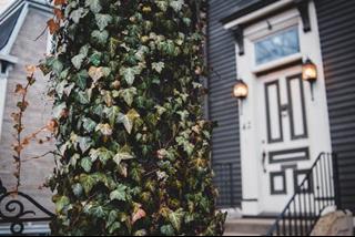 Tử vi thứ 7 ngày 11/12/2021 của 12 con giáp: Mão vượng tài, Hợi sa sút