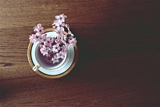 Tử vi Thứ 2 ngày 1/3/2021 của 12 con giáp: Dậu thuận lợi, Tuất cô lập