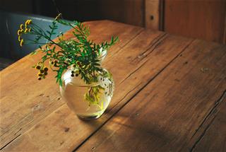 Tử vi tuần mới từ 1 - 7/3/2021 của 12 con giáp: Dậu gặp may, Tý khó khăn