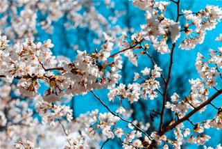 Lập Xuân 2021 trùng ngày ông Công ông Táo: Thận trọng khi làm điều này dịp hiếm thấy!