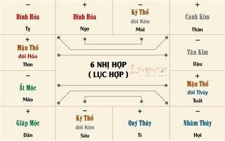 Lục hợp là gì? Ý nghĩa của Lục hợp trong tử vi phong thủy quan trọng thế nào?