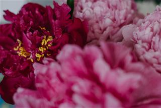 Tử vi tuần mới từ 29/3/2021 - 4/4/2021 của 12 cung hoàng đạo: Sư Tử thất thường, Song Tử cần thích nghi