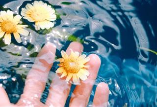 Tử vi Thứ 3 ngày 13/4/2021 của 12 con giáp: Sửu phạm lỗi, Dậu căng thẳng