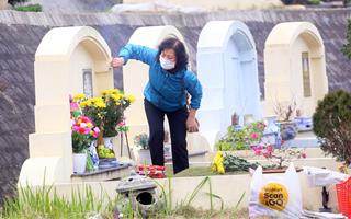 Nên chọn hoa gì khi đi tảo mộ trong tiết Thanh Minh là phù hợp nhất?