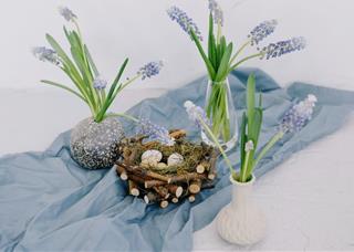 Tử vi thứ 4 ngày 28/4/2021 của 12 cung hoàng đạo: Sư Tử dễ tin, Song Ngư khôn ngoan