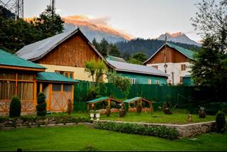 Tử vi tuần mới từ 26/4 - 2/5/2021 của 12 con giáp: Mão linh hoạt, Tuất hao tài