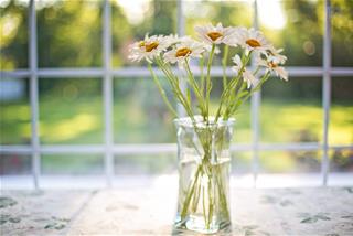 Tử vi thứ 3 ngày 27/4/2021 của 12 cung hoàng đạo: Sư Tử hăng hái, Cự Giải bốc đồng