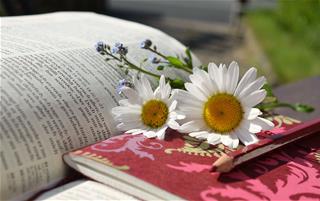 Tử vi thứ 6 ngày 30/4/2021 của 12 cung hoàng đạo: Bảo Bình bất an, Kim Ngưu cố chấp