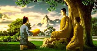 Không tin Đức Phật so sánh tiền bạc với rắn độc, người nông dân này "suýt chết"